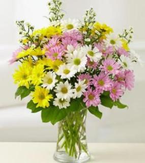 PRETTY DAISIES FOR MOM