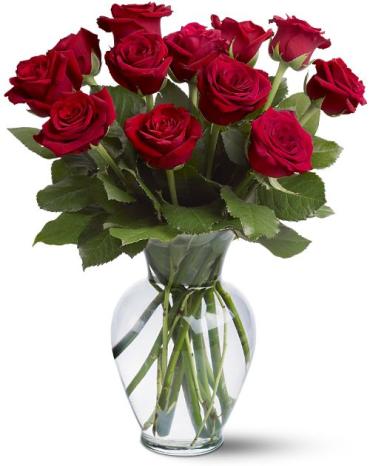 12 Red Roses ON SALE NOW!!!  ONLY $39.99