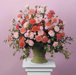 Pink and Peach Carnation Urn