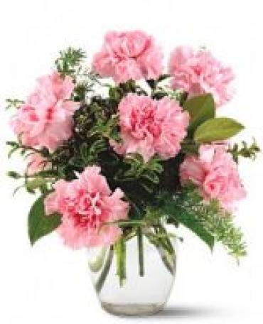 SWEET IN PINK CARNATIONS