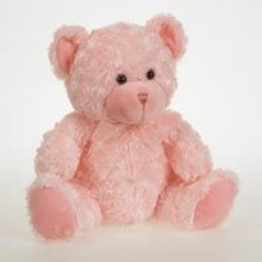 \"Pinky\" The Bear
