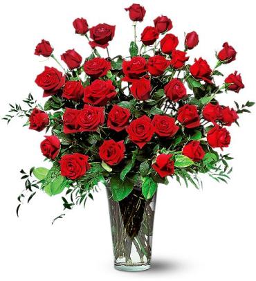 Three Dozen Long Stemmed Red Roses