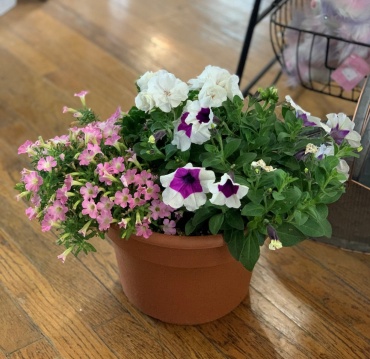 SUES\' OUTDOOR ROUND FLOWER PLANTER 12\"