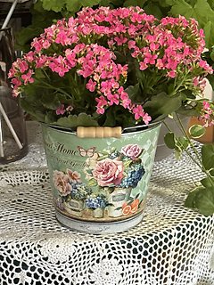 MOMS PINK KALANCHOE GARDEN PAIL