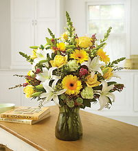 Garden Of Grandeur For Sympathy