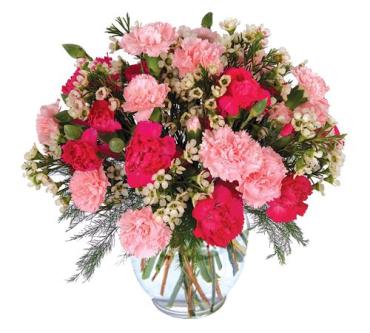 Mini Carnations In Hot Shades of Pink