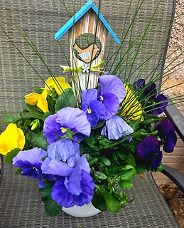 OUTDOORS PANSY POT