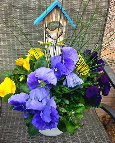 OUTDOORS PANSY POT