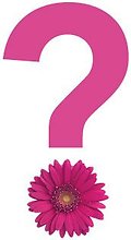 FLORIST CHOICE BOUQUET $50 & UP