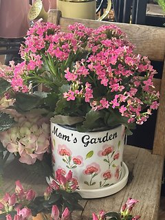 MOM\'S GARDEN CERAMIC FLOWER POT