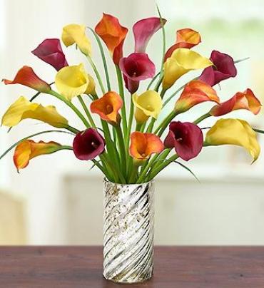 Mini Calla Lilly Elegant Bouquet