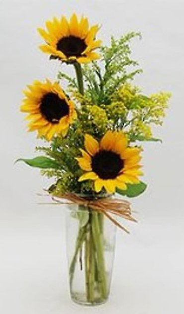 SPECIAL!  THREE SUNFLOWERS 4U