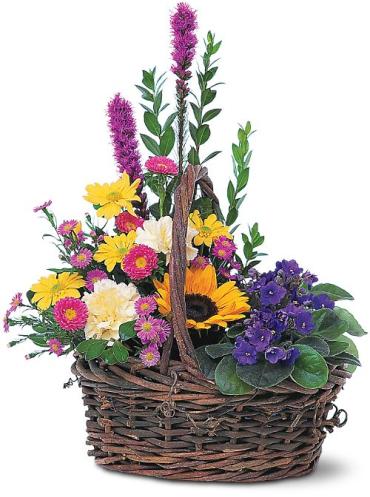 Basket of Glory