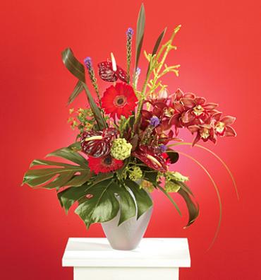 Stylized Tropical Arrangement