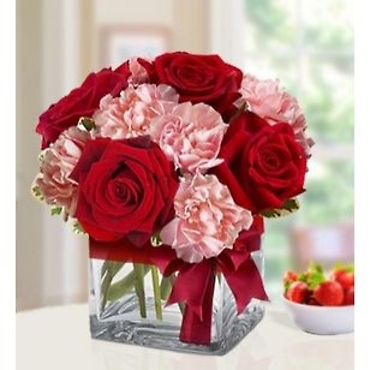 RED ROSES & PRETTY PINK CARNATIONS