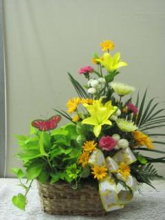 Green Plant and Floral Basket