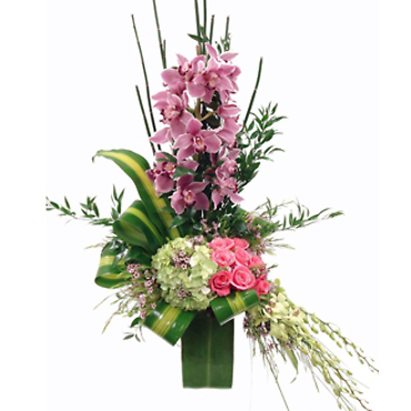 CYMBIDIUM ORCHIDS FOR THE LADY!
