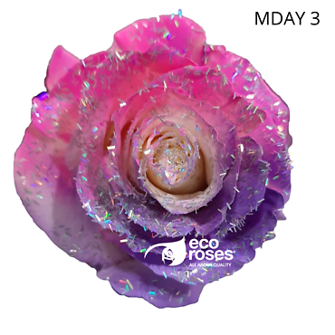 SPARKLING PINK & PURPLE ICE ROSES FOR MOM!