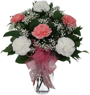 SWEET IN PINK AND WHITE CARNATIONS