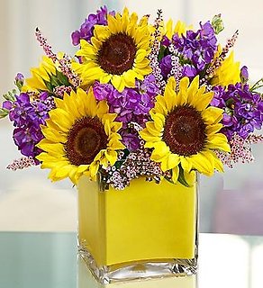 MODERN SUNFLOWERS FOR YOU