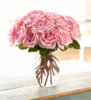 Charming Pink Roses