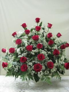 Glorious Red Roses