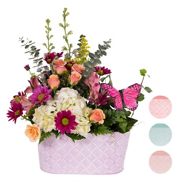 SPECIAL!  WAS $69.99 NOW $62.99!  STRONG & STEADY