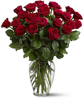 Two Dozen Long Stemmed Red Roses