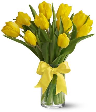 Bright & Sunny Tulips
