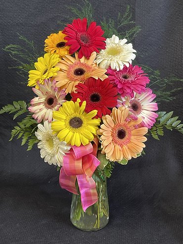 SPECIAL REG $58.99 NOW ONLY $44.99 FANCIES GERBER DAISY SPECIAL!