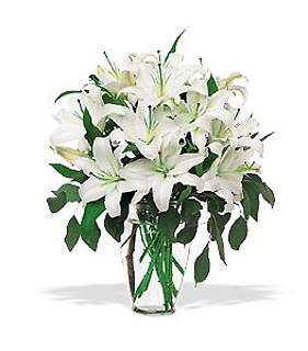 LILIES IN WHITE