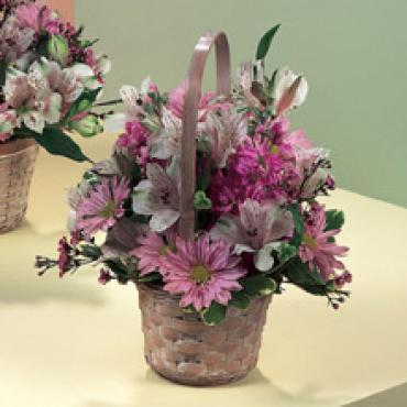 PRETTY DAISY BASKET WITH ALSTROMERIA FOR MOM