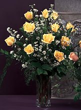 Yellow Roses To Delight