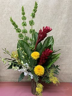 TROPICAL DISPLAY FEATURING ORCHIDS