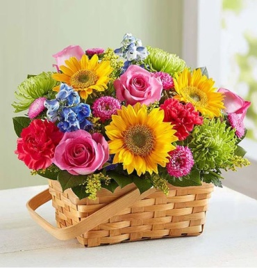 SUNNY BRIGHT GARDEN BASKET LARGE