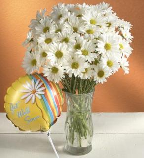 Daisy Bouquet to say \"Get Well\"