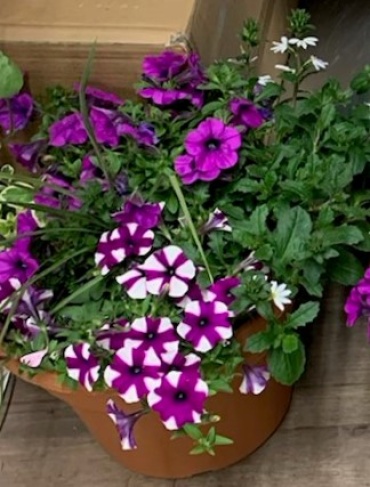 ROUND OUTDOOR PLANTER 12\"