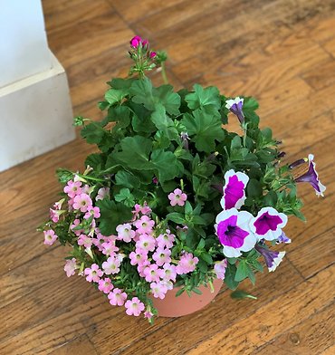 SUES\' OUTDOOR ROUND FLOWER PLANTER 12\"