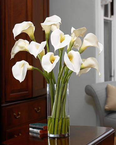 CALLA LILY 12 STEM BOUQUET