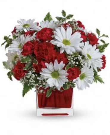 PERKY RED CUBE WITH WHITE DAISIES