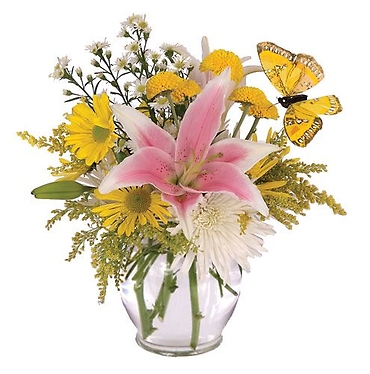 Vase of Cheer