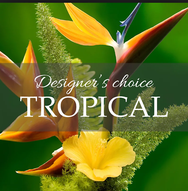 DESIGNERS CHOICE TROPICAL FLOWERS