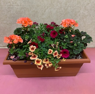 18\" RECTANGULAR PLANTER WITH BLOOMING PLANTS