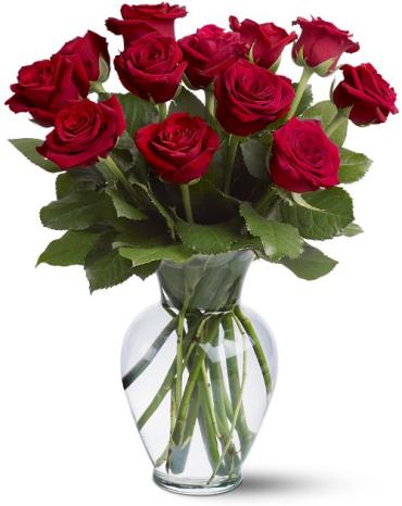 12 Red Roses