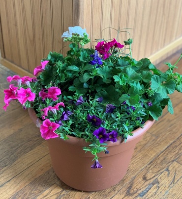 SUES\' OUTDOOR ROUND FLOWER PLANTER 12\"