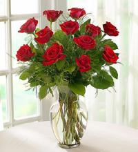 Red Rose Elegance For Sympathy