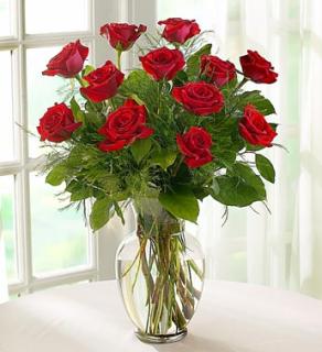 Red Rose Elegance For Sympathy