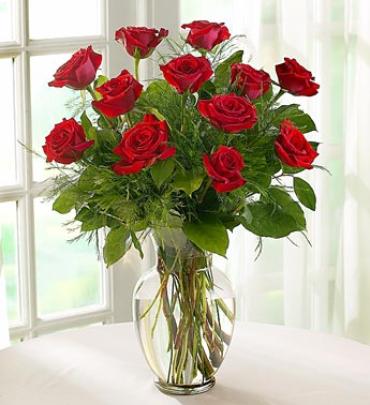 Red Rose Elegance For Sympathy