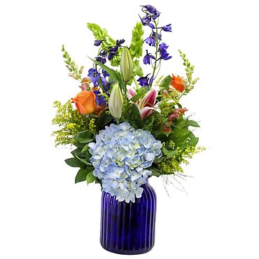 SPECIAL! WAS 79.99 NOW $69.99 $10.00 OFF! EXTRAORDINARY