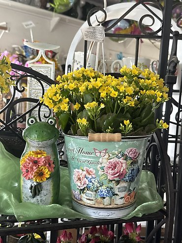 MOMS YELLOW KALANCHO GARDEN PAIL
